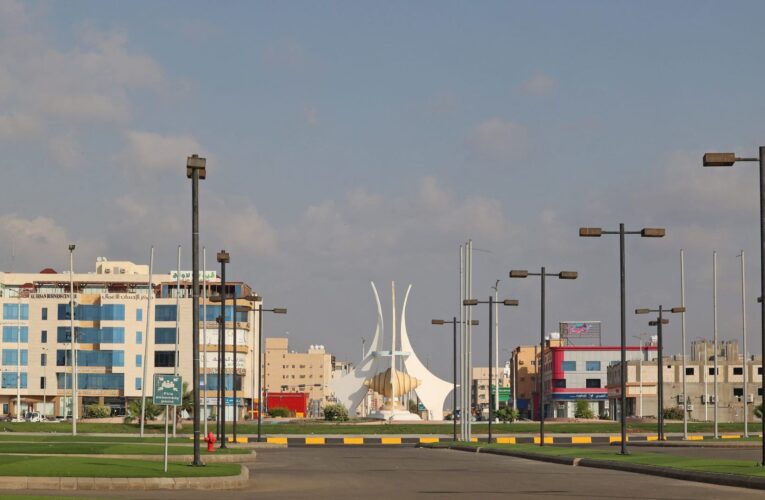 السعودية.. النيابة تأمر بالقبض على شخص ظهر في فيديو يطلق النار على كلب