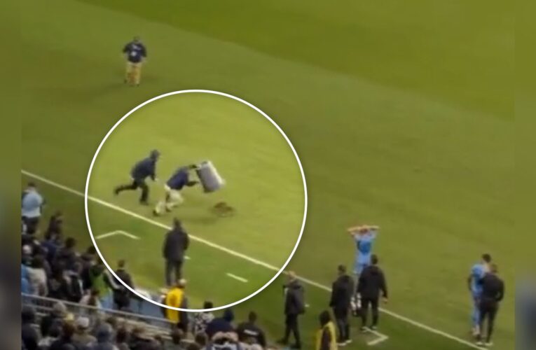 حيوان راكون يقتحم ملعب كرة قدم أثناء مباراة.. شاهد رد فعل الحضور