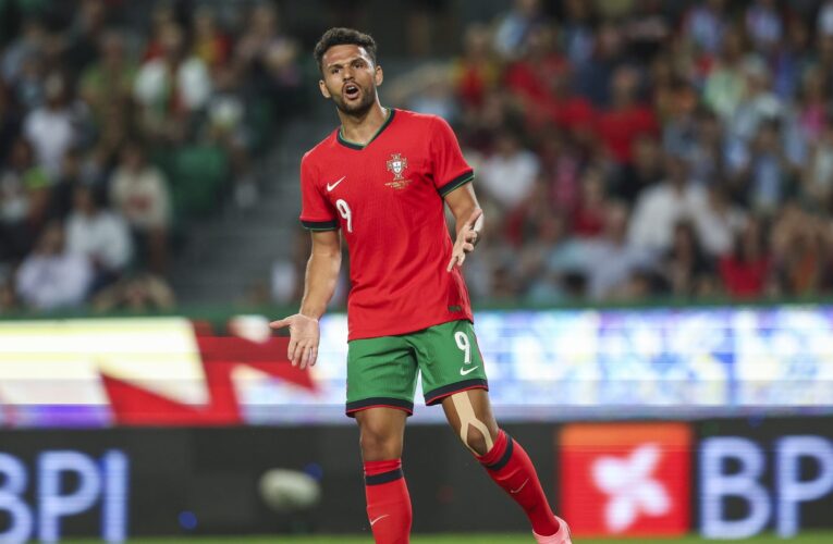 “لحظة من اليورو”.. رجل أمن يتسبب بإصابة لاعب منتخب البرتغال