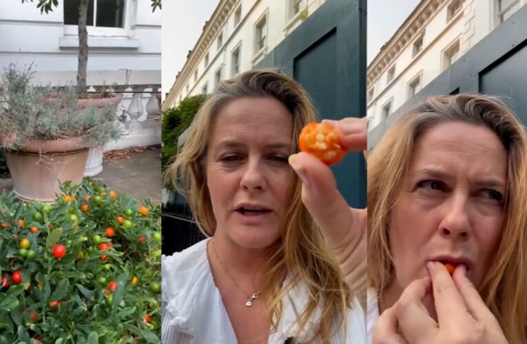 قد تسبب الحمى والشلل.. شاهد ممثلة تأكل فاكهة “شديدة السمية” على تيك توك وتثير قلق المشاهدين