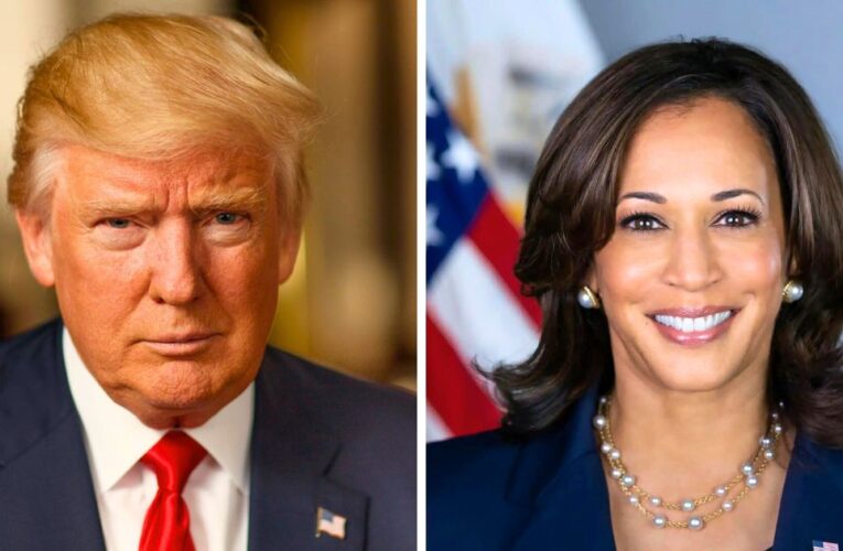 Who Do Lebanese Want to Win the US Presidency? We Asked, Here Are the Results