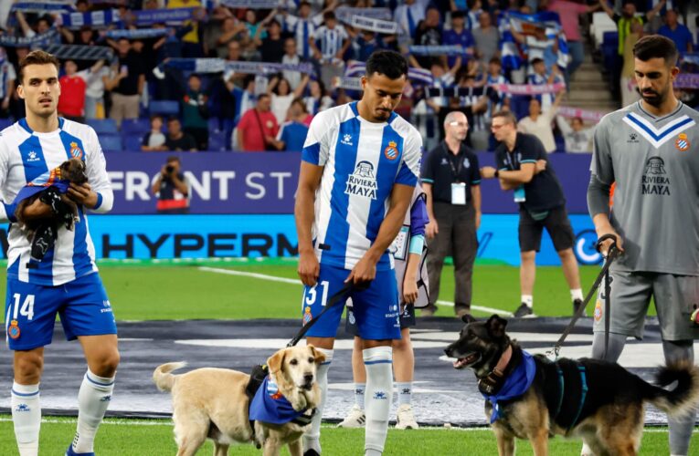 “واقعة غريبة”.. لاعبون في الدوري الإسباني يدخلون أرض الملعب برفقة كلاب