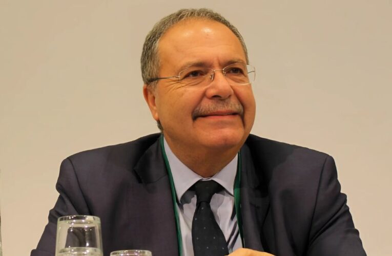 Who Is Tarek Metri, Lebanon’s New Deputy Prime Minister