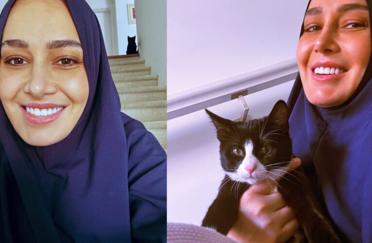 هل عادت حلا شيحة لارتداء الحجاب؟