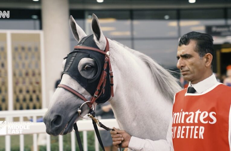 30 مليون دولار في المضمار.. هذا ما يحدث في كواليس سباقات الخيل بدبي