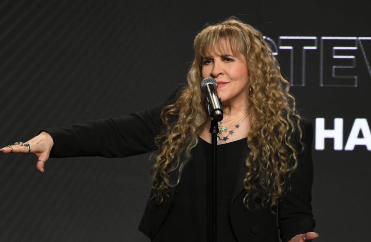 ستيفي نيكس تعمل على “ألبوم الأشباح” المستوحى من “رجال رائعين”عرفتهم