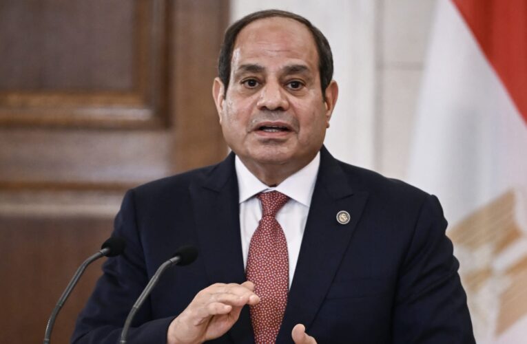 الرئيس المصري يطمئن على الفنان عبدالرحمن أبو زهرة بمكالمة هاتفية