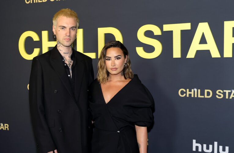 بعد تعاونهما في عدة أعمال ناجحة.. زواج ديمي لوفاتو من جوردان “جوتس”