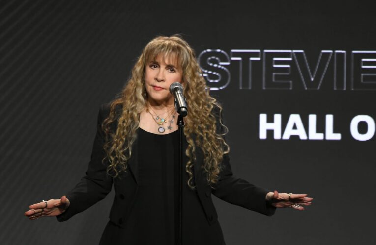 ستيفي نيكس تؤجل حفلاتها بعد إصابتها بكسر في كتفها