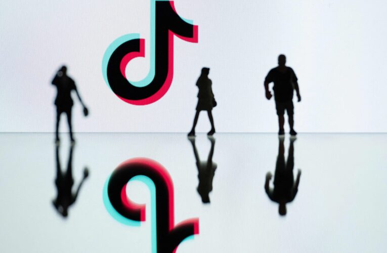 حملة متصاعدة لإلغاء متابعة صانعي محتوى عرب على تيك توك