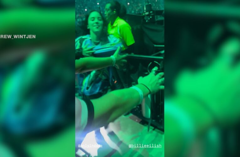 أمسك بها وسحبها بعنف.. المغنية بيلي إيليش تتعرض لهجوم مفاجىء أمام الكاميرا خلال حفل بميامي