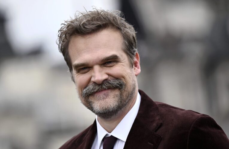 ديفيد هاربر يتحدث عن “الألم والأخطاء” بعد انفصاله عن ليلي ألين