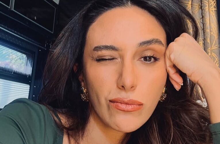 “ما كان ينبغي أن يجتمع هذان المجنونان”.. “غونجا” الجميلة التي تتحدى “غوردال” في المسلسل التركي”حلم أشرف”