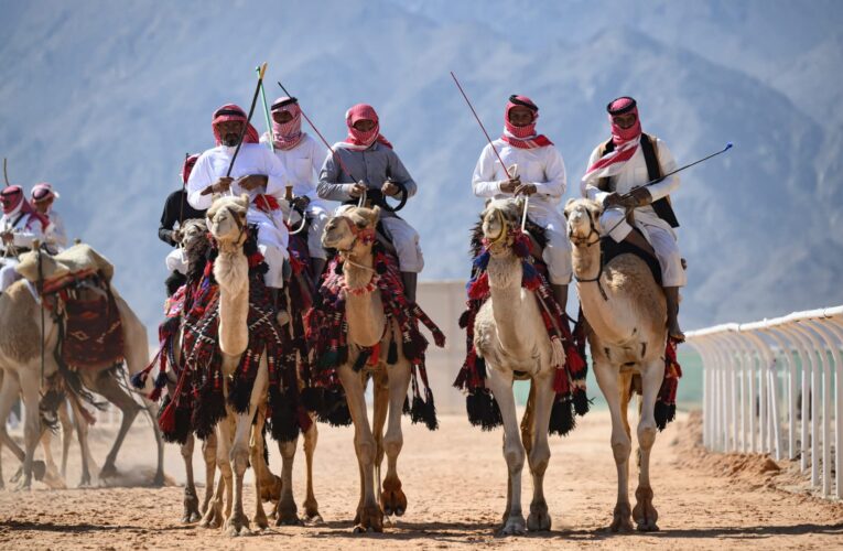 السعودية.. نادي الإبل يفرض غرامة 5 ملايين ريال على مشارك ويوضح السبب