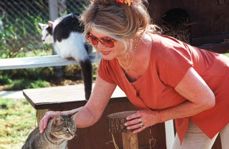 “أسطورة القرن”.. وفاة بريجيت باردو نجمة الإغراء الفرنسية والمدافعة الشرسة عن حقوق الحيوان