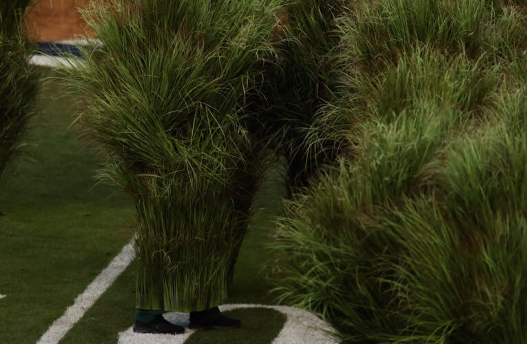 كواليس طريفة.. كيف يشعر المرء عندما يتظاهر بأنه “شجيرة” في عرض “سوبر بول”؟