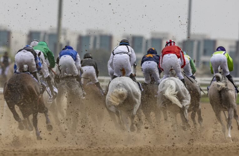 انطلاق كأس دبي العالمي للخيول 2026.. إليك الفائزين في الأشواط الخمسة الأولى