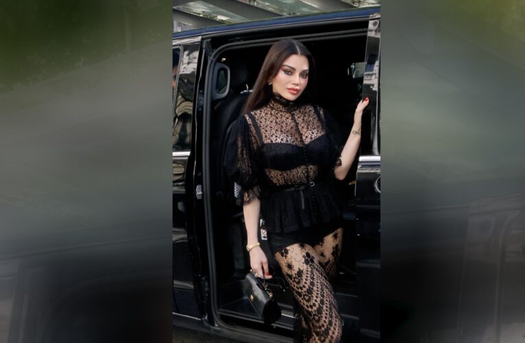 “الغيرة وعمايلها”.. هيفاء وهبي تطلق أغنية “لوك لوك” وترد على من شوهوا صورتها